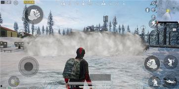 和平精英烟雾弹最新爆料,神秘特性引玩家热议