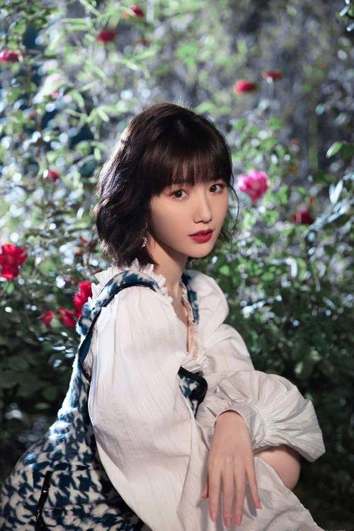 毛晓彤娱乐圈爆料,揭秘明星背后的真实故事